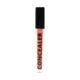 Forever 52 Coverup Concealer - 7g