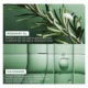 Biolage Full Rescue Shampoo