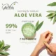 GloWhite Herbals Aloe Vera Gel – Skin & Hair Care with Vitamin E | Hydrating & Soothing | 500ml