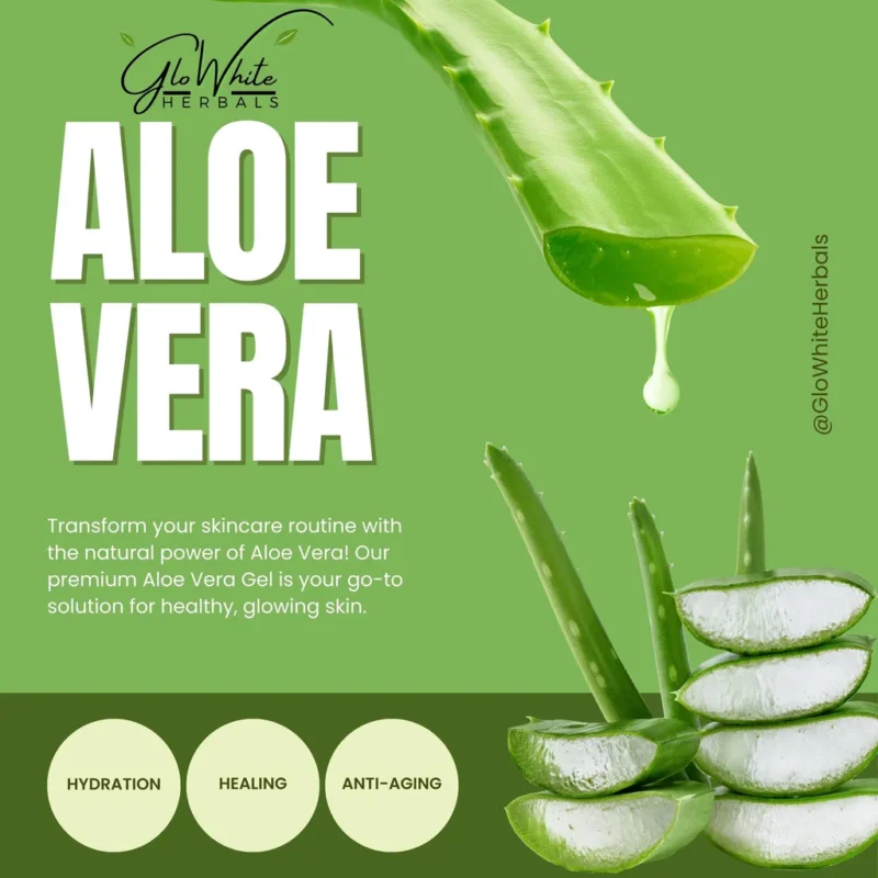 GloWhite Herbals Aloe Vera Gel – Skin & Hair Care with Vitamin E | Hydrating & Soothing | 500ml